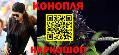 прущие грибы Гудермес
