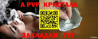 прущие грибы Гудермес